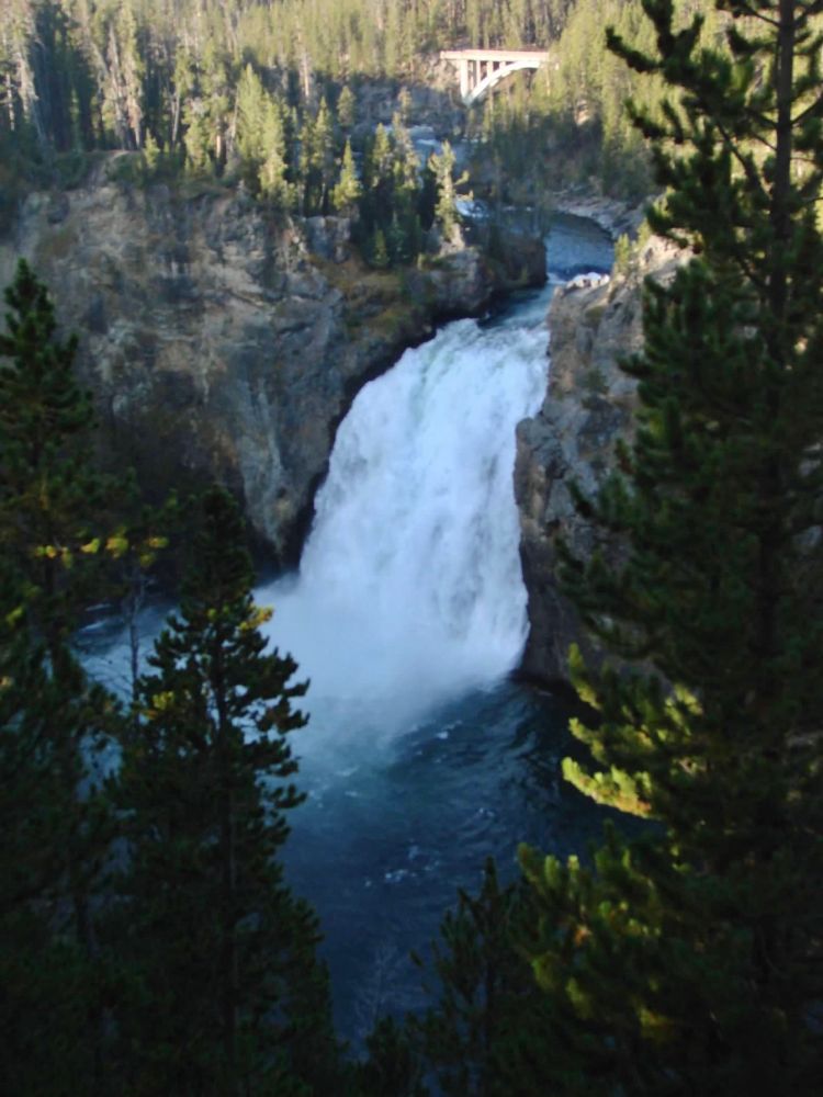 Photo of a wide waterfall seen from above. Forest of pine trees surround the falls and seen in the foreground.