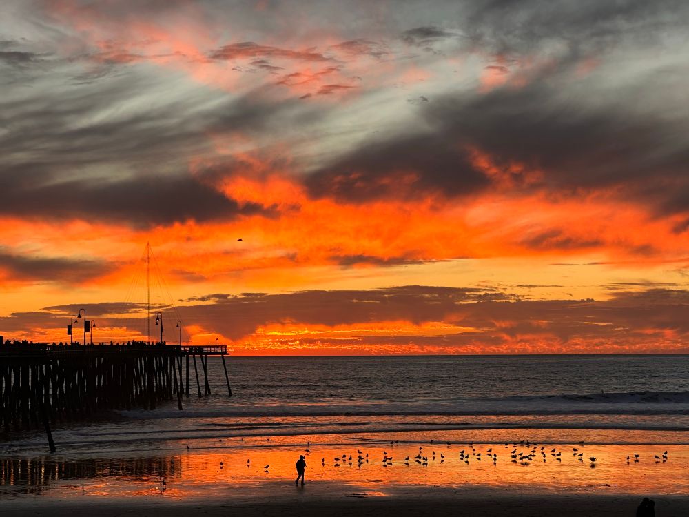 A photo at a beach at sunset. The sky is a brilliant orange mixed with dark gray clouds or fog. A silhouette of a pier on the left, a few birds in the receding water, and a person walking along the water's edge. The receding water reflects the orange sky.