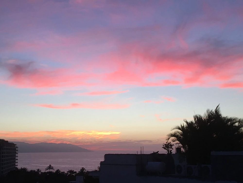 Photo overlooking a silhouette of houses and trees to see the ocean and sky at start of sunset...scattered clouds have turned pink and purple.