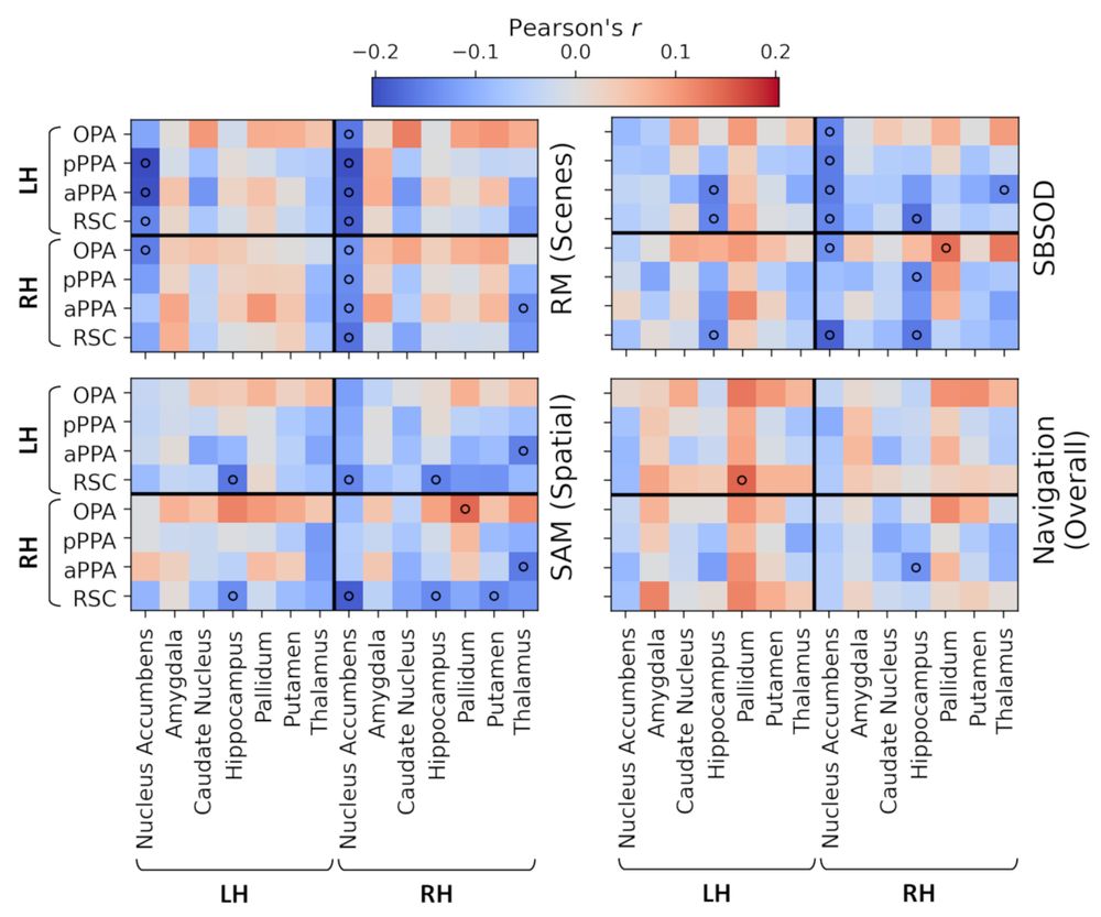 Correlations of functional connectivity between scene regions & subcortical structures with performance on the behavioural measures.
