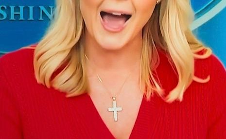 Press Secretary Karoline Leavitt doing her best every day to twist the cross into a swastika.