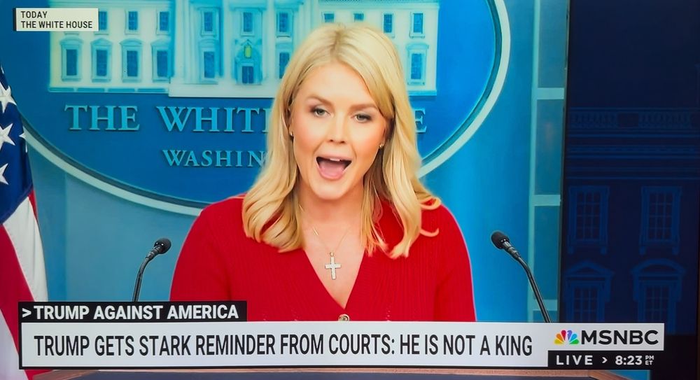 WH Press Secretary Karoline Leavitt unapologetically sports a cross of gold to bear false witness in support of her serial 10 Commandments breaking boss.