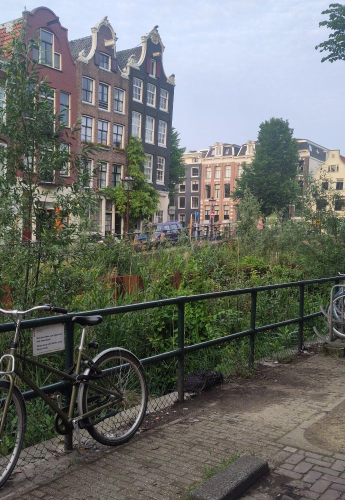 ein Fahrrad an einen Zaun geleht, dahinter grün und schiefe Häuser 