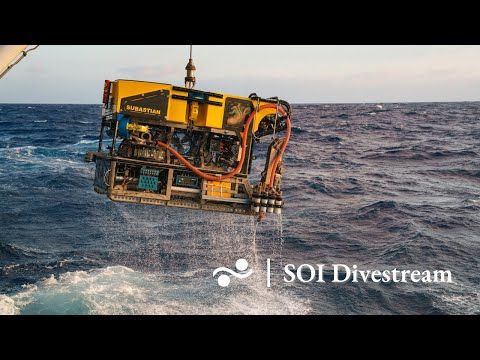 Lance 39.1 Mar Del Plata Canyon | SOI Divestream 818 PART 2