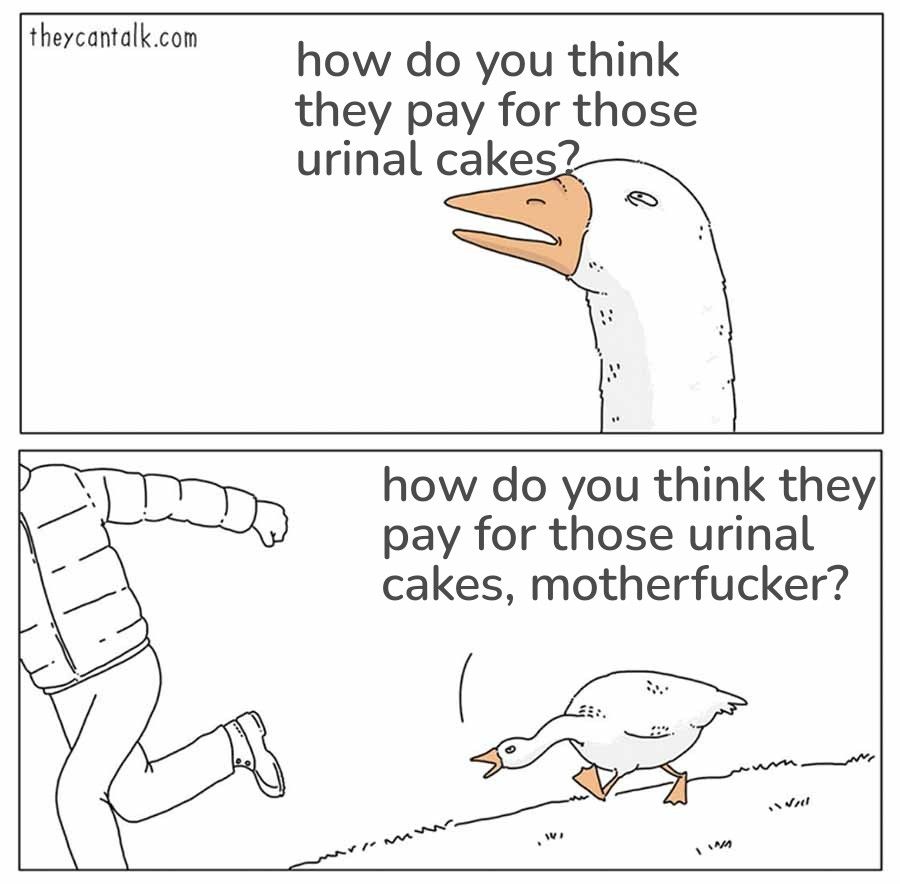 Goose chasing guy asking how he thinks they pay for those urinal cakes motherfucker