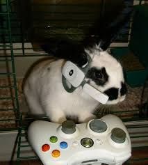 it's a rabbit playing xbox 360 with a headset
