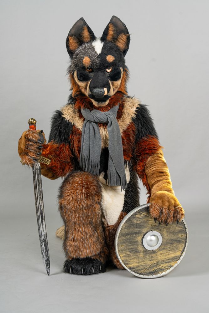 Photo of a Blue Heeler fursuiter in a kneeling pose, holding a toy sword in his right paw and resting his left paw on a toy shield.