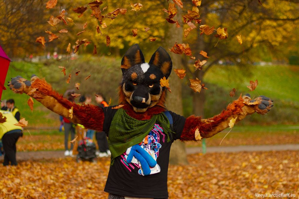 Blue Heeler fursuiter photographed in a park, with both arms held wide as autumn leafs fall all around him.