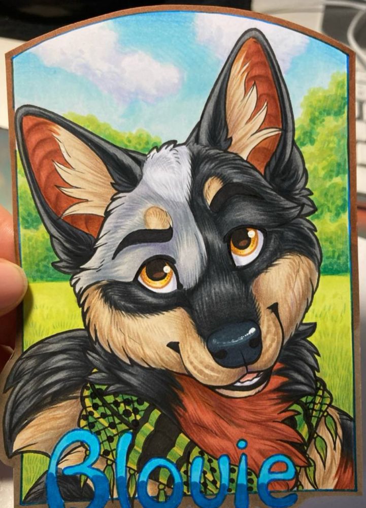 Badge portrait of Blouie the Blue Heeler.
