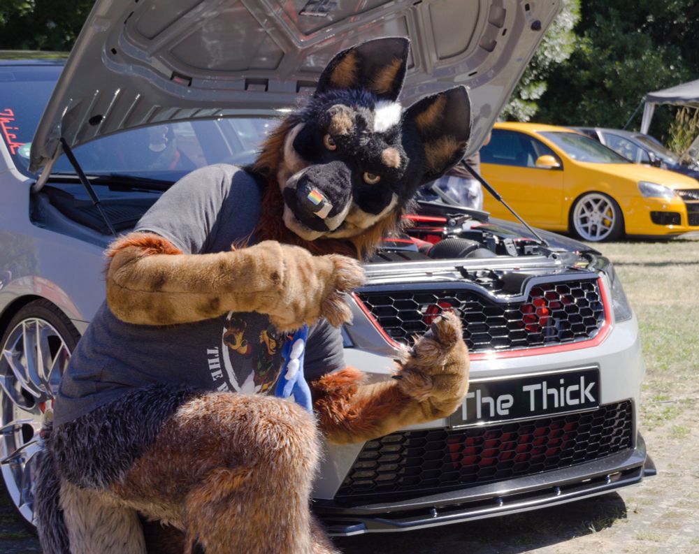 Blue Heeler fursuiter posing in front of a  sports car with opened engine hood whose license plate says „The Thick“.
