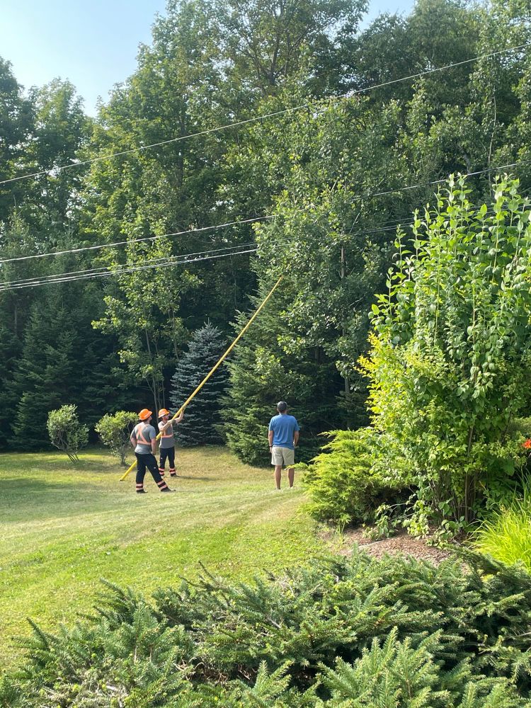 In 36 degree heat - Hardworking NB Power linesmen, using a very long non conductive fibreglass pole saw, cut branches off trees that are touching power lines while a relieved homeowner looks on ( somewhat chagrined as they confirmed his wife was correct and he shouldn’t attempt to cut down the tree himself and get electrocuted)
