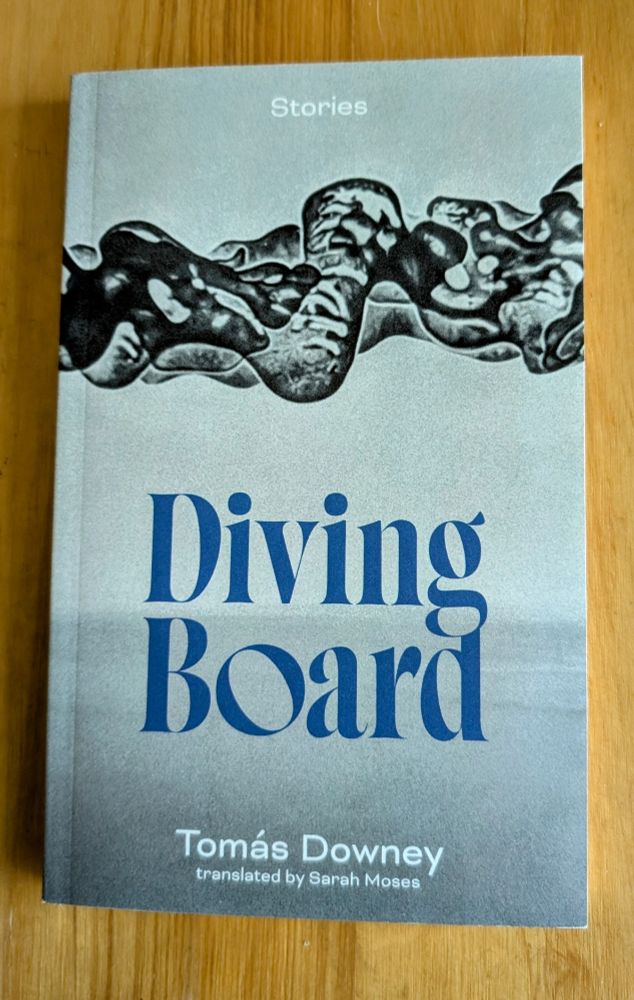 Book: Diving Board by Tomás Downey, tr. by Sarah Moses