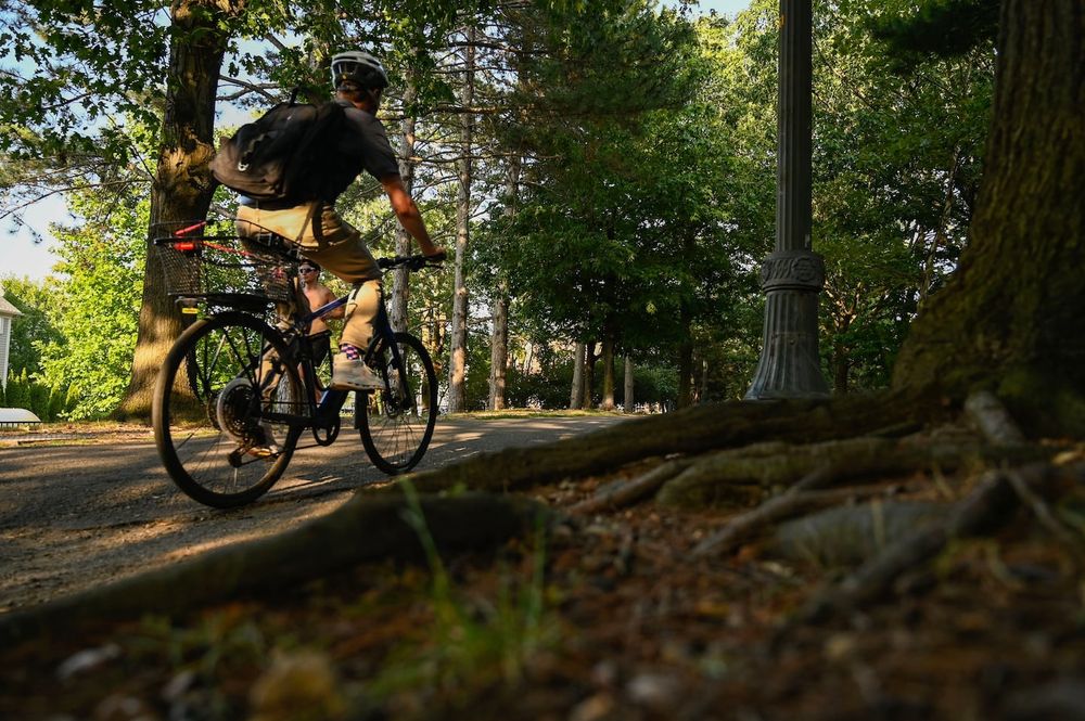A group of neighbors and environmentalists, worried about the project in Linear Park, secured a temporary court order.