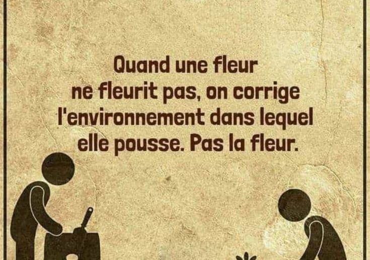 Quand une fleur ne fleurit pas, on corrige l'environnement dans lequel elle pousse. Pas la fleur.