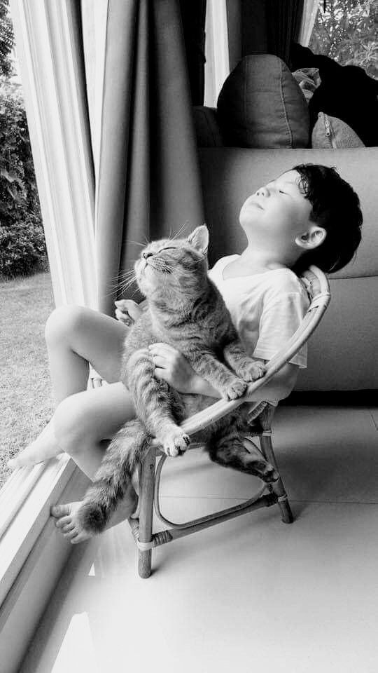 Un chat et un petit garçon en extase face au soleil