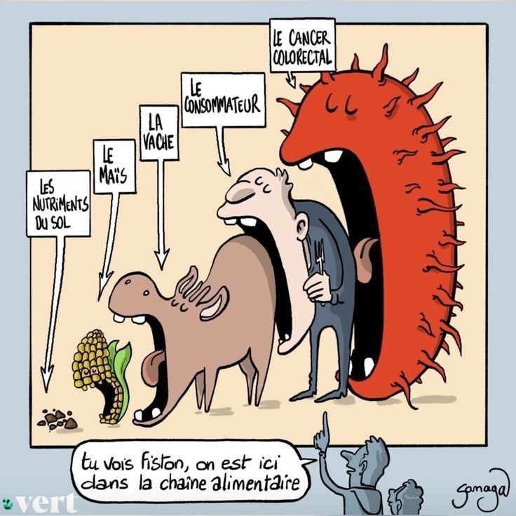 La chaîne alimentaire 