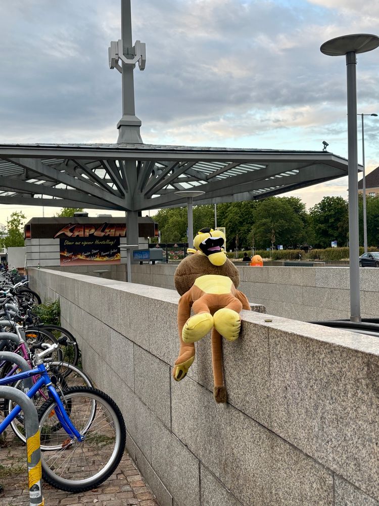 Ein Stofftierlöwe liegt auf einer Mauer.