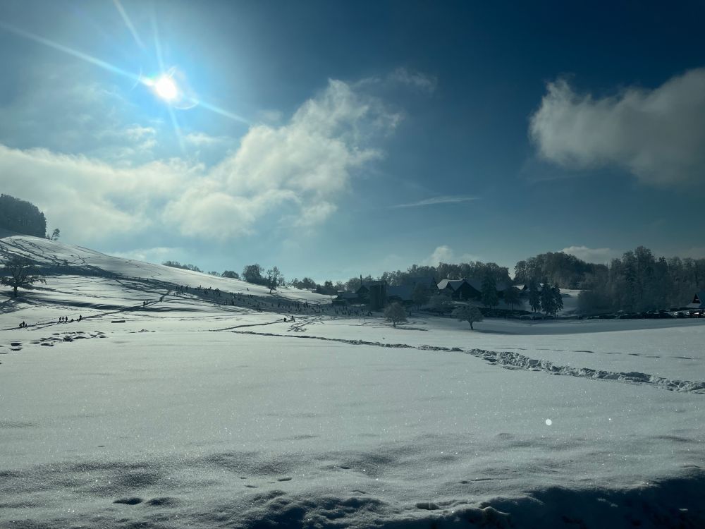 Snow covered slope, a few trees with blue sky and fluffy clouds. In the distance tiny figures sledging.