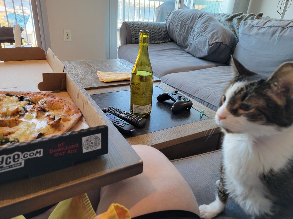 Photo of a cat (white black and brown) eyeing a white pizza, moments before he goes in for the kill.  