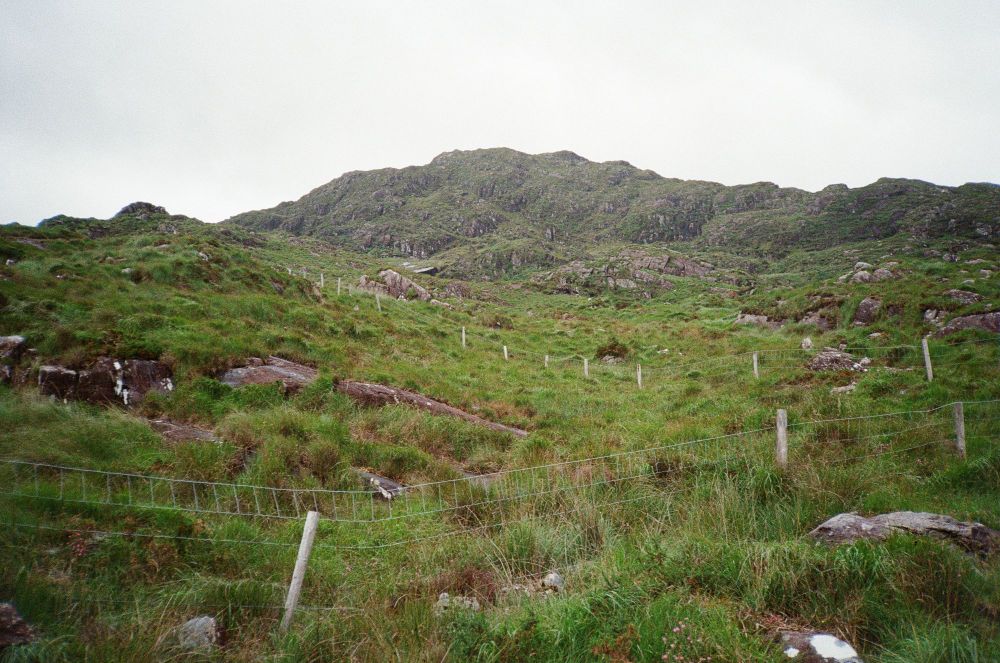 A grassy mountainous landscape with mist rolling down. A small fence winds up the mountain