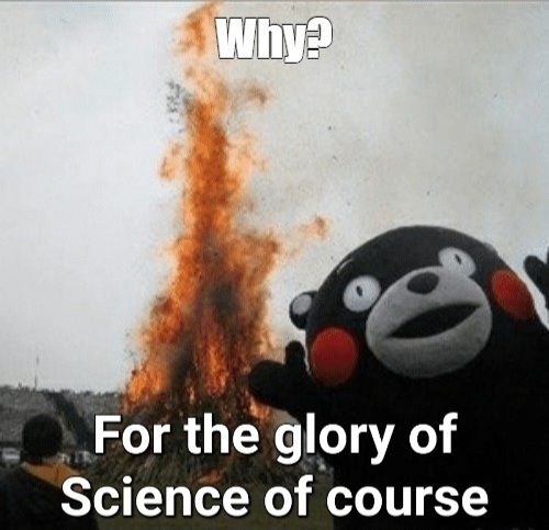 Kumamon, a mascot for the prefecture Kumamoto Japan stands excited in front of a giant bonfire. The text reads, "Why? For the glory of science of course"
