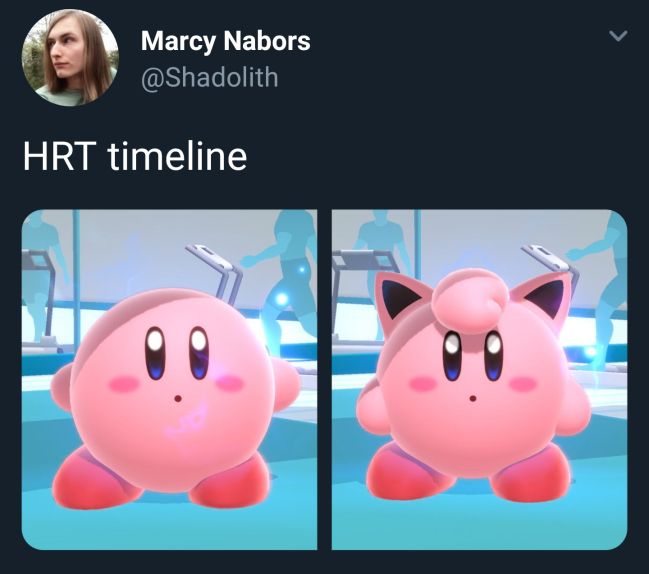 A screenshot of a post with text “HRT timeline” and 2 images: a plain kirby, and a kirby with cat ears and a hair poof, looking vaguely like jigglypuff
