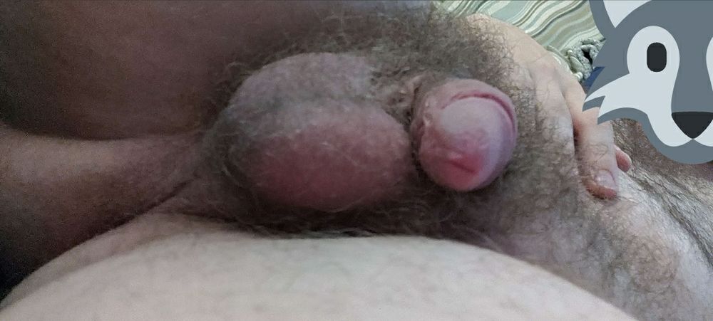 Another picture of his softy shot from a side angle. The posters face is hidden by a cute wolf sticker!