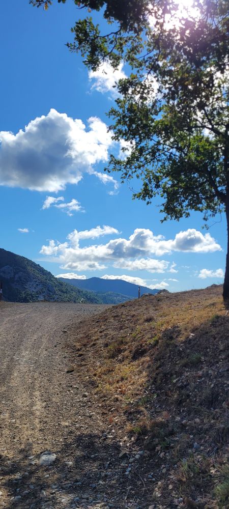 Piste sur la colline, arbre et ciel bleu avec quelques nuages 
Collines en fond 
Paysage du sud de la France 