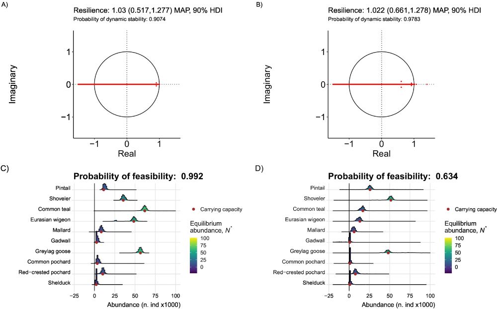 Probability of dynamical stability and feasibility of the wintering waterfowl community in Doñana marshes (1978–2013). Figs. A) and B) show the distribution in the unit circle of the posterior eigenvalues of the Jacobian matrix (Eq. 5) of the LVR state-space model fitted to the pre-Pinatubo period (A, 1978–1992) and the post-Pinatubo period (B, 1995–2013). The probability of stability is the fraction of the eigenvalues (modulus) strictly smaller than 1 in the posterior distribution. MAP is the maximum a posteriori density, and 90 % HDI the highest density interval. Figs. C) and D) show the posterior histograms of the equilibrium abundances (N*) and the posterior averages of the carrying capacities for each waterfowl species (red dots) in the pre-Pinatubo period (C) and the post-Pinatubo period (D). The probability of feasibility for each period is the proportion of posterior estimated equilibrium abundance vectors in which the abundances are strictly positive for all species.