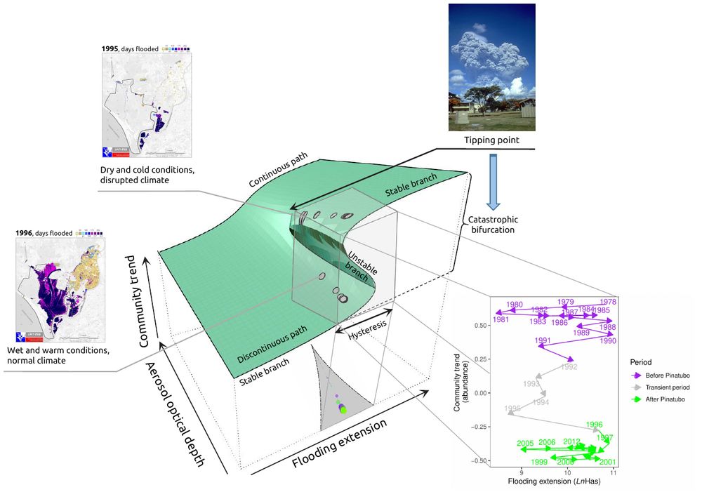 Diagram depicting the three-dimensional representation of the stochastic cusp catastrophe model fitted to the major community trend, as a function of the stratospheric aerosol optical depth (bifurcation parameter) and flooding extension (asymmetry parameter). The fitted values plotted in the maximum-likelihood cusp equilibrium surface (in green) are depicted as gray circles.