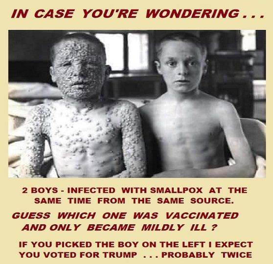 Comment image