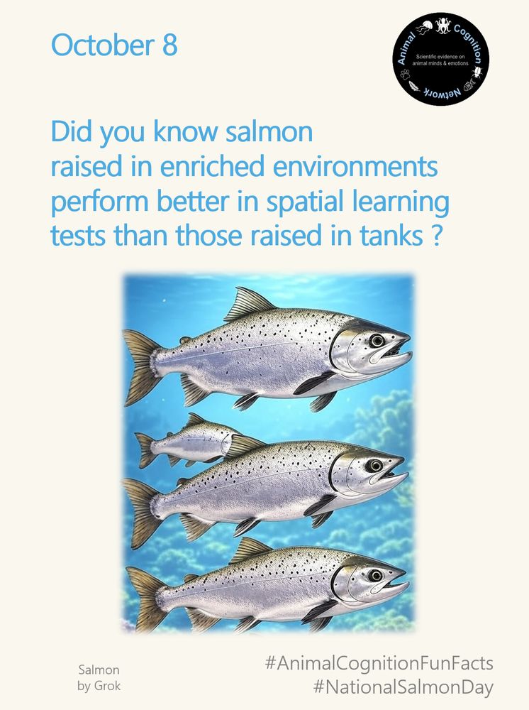 October 8 is National Salmon Day. Animal Cognition Fun Facts by Animal Cognition Network.