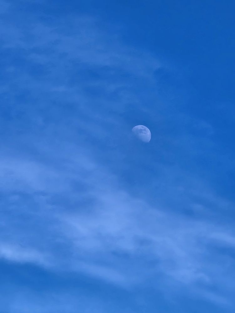 A moon in the middle of the day