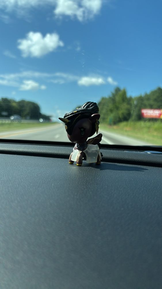 mel medarda tokidoki posed on the dash of a car traveling down the highway