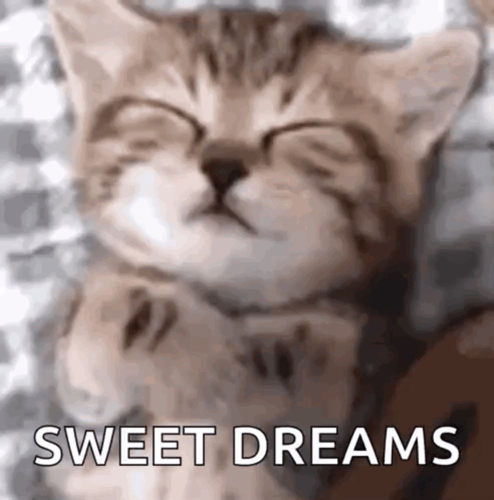 a kitten is sleeping with its eyes closed and the words `` sweet dreams '' written below it .