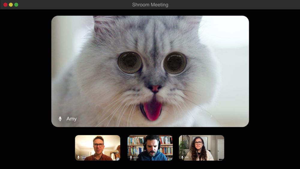 In a "Shroom" meeting, a cat with big eyes and its tongue sticking out is on a call with three of its coworkers. 