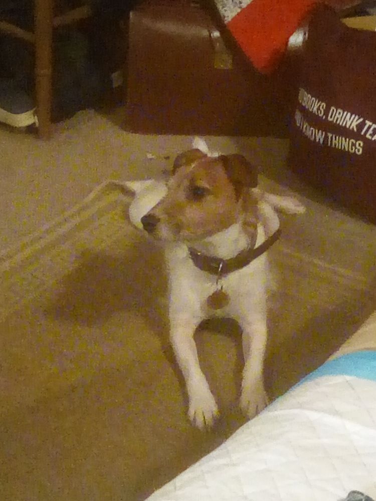 Max, JRT, looking for trouble to cause.