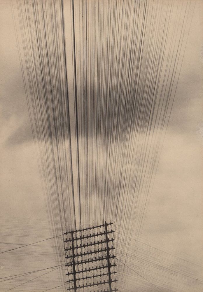 Tina Modotti. 

Telephone Wires, 
Mexico. 
c. 1925.