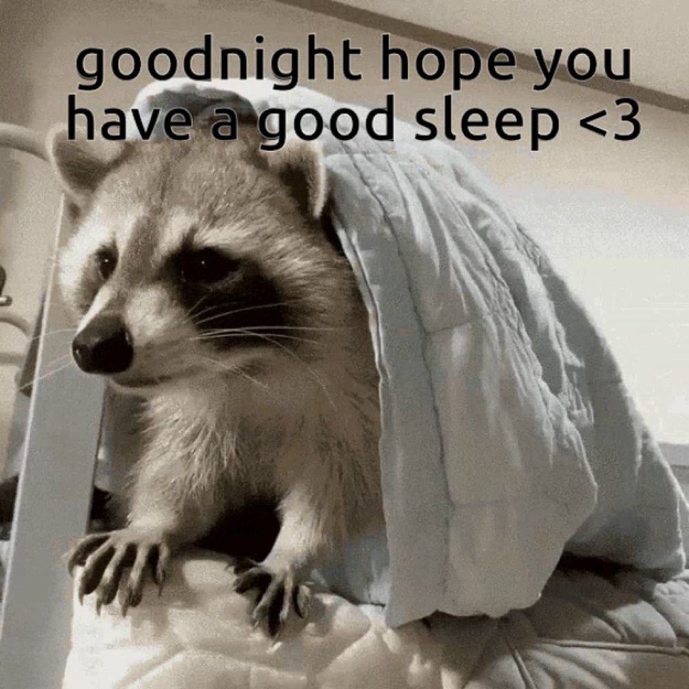 a raccoon is wrapped in a blanket with the words goodnight hope you have a good sleep < 3