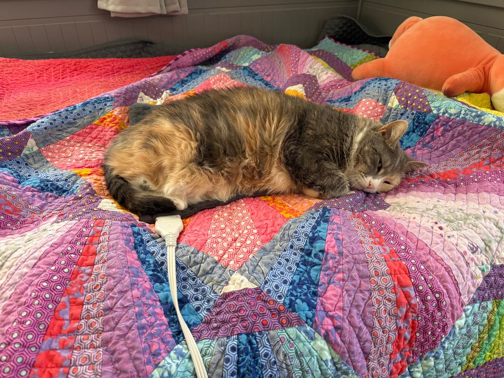 A dilute calico cat sleeping on a heating pad on top of a colorful quilt. 