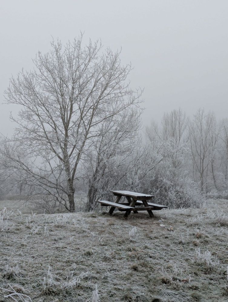 Wiese mit Picknicktisch und Bäumen dahinter. Überall ist Frost 