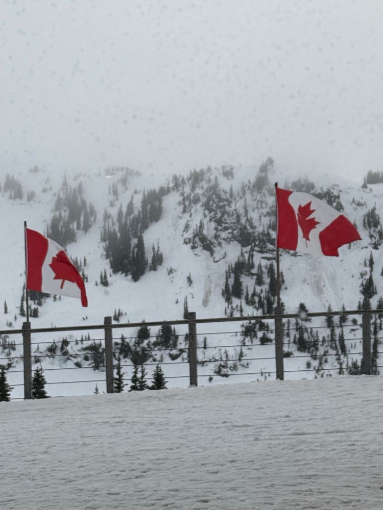 Canadian flags in the snow 