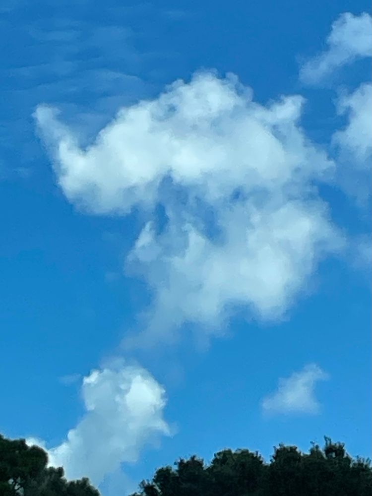 Cloud looks kinda like Lobo profile 