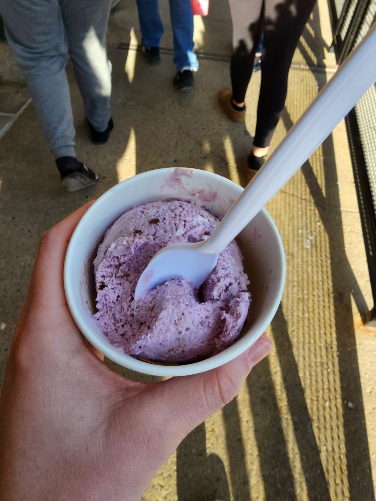 A cup of purple ube ice cream in the afternoon.