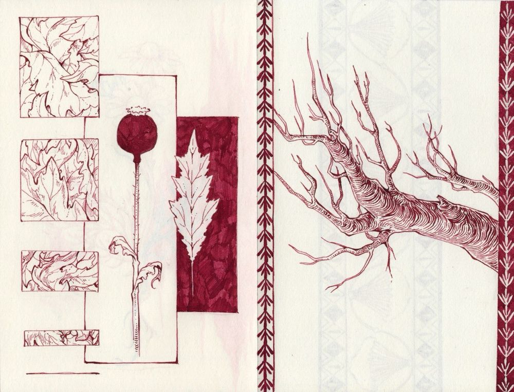 sketchbook page with drawings of plants and a tree.