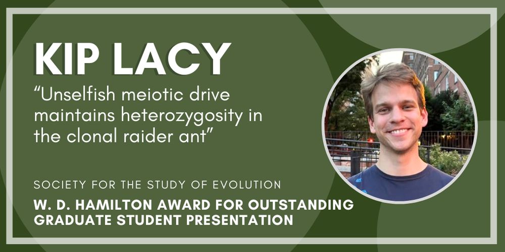 Headshot of Kip Lacey. Text: Kip Lacy, Unselfish meiotic drive maintains heterozygosity in the clonal raider ant, Society for the Study of Evolution W. D. Hamilton Award for Outstanding Graduate Student Presentation.
