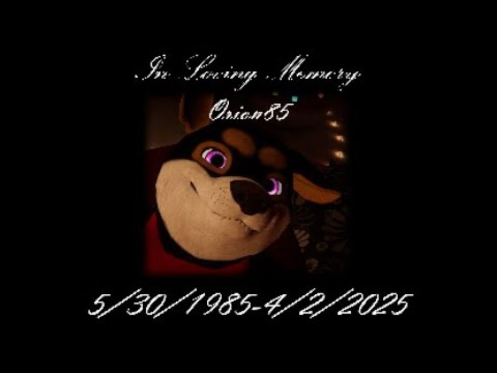 In Loving Memory of Orion.