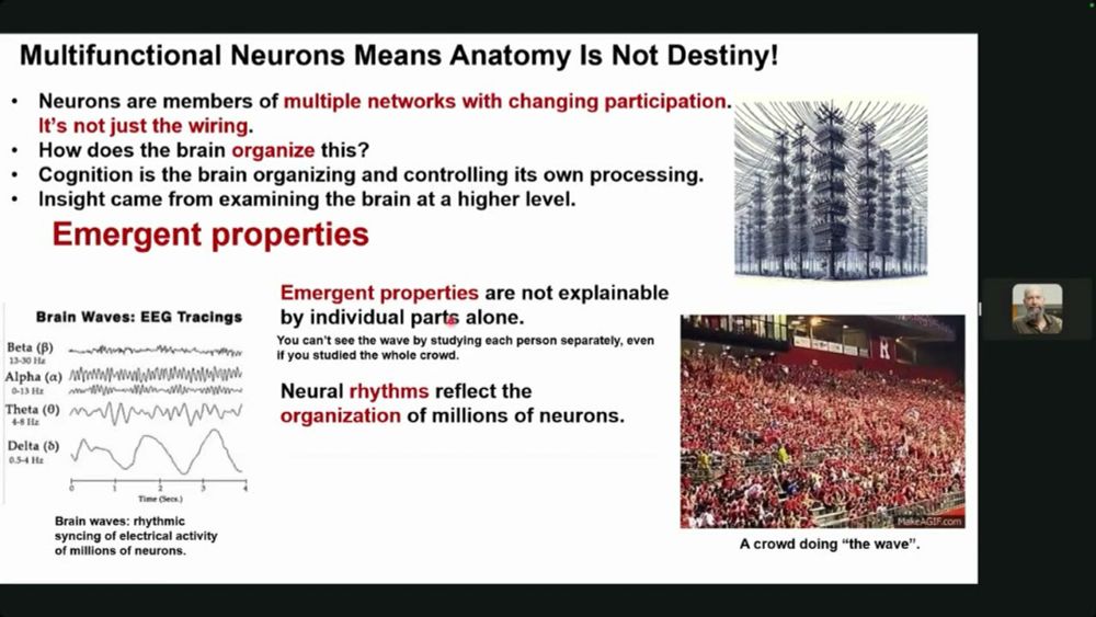 PLENARY #2 'CORTICAL OSCILLATIONS, WAVES AND CONSCIOUSNESS