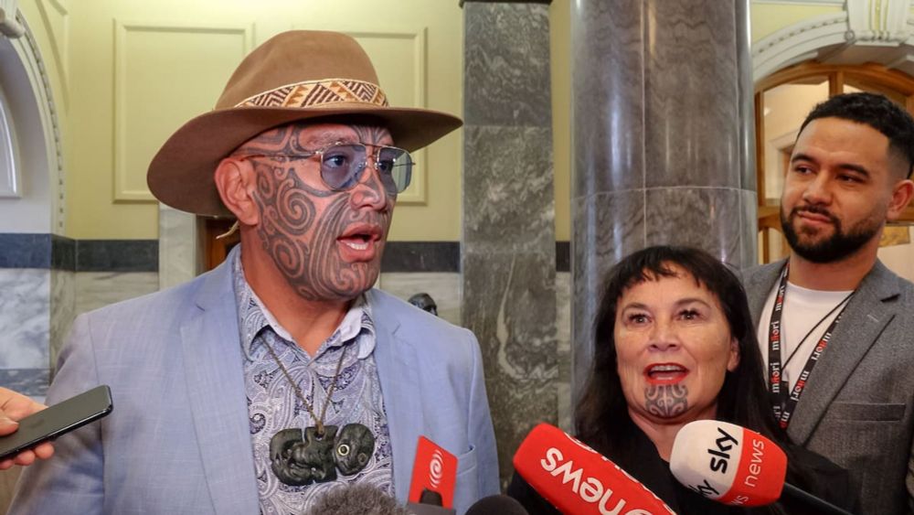 Te Pāti Māori ‘will no longer engage’ with NZ Herald after Hobson’s Pledge ad - NZ Herald