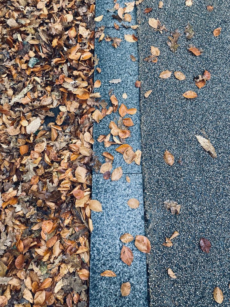 A gutter full of fallen leaves; kerb stones; pavement